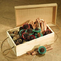 Woodfield 47142 Color Pine Cones Gift Box 